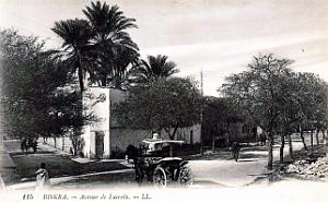 Biskra - Avenue de Lacroix